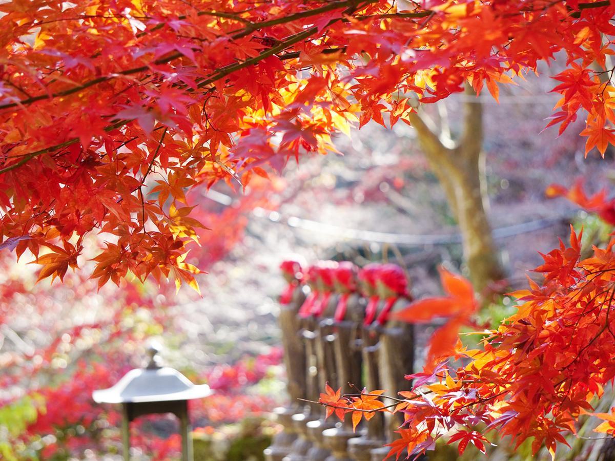 宿坊 かげゆ 伊勢原市 エクステリア 写真